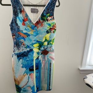 Clover Canyon dress L